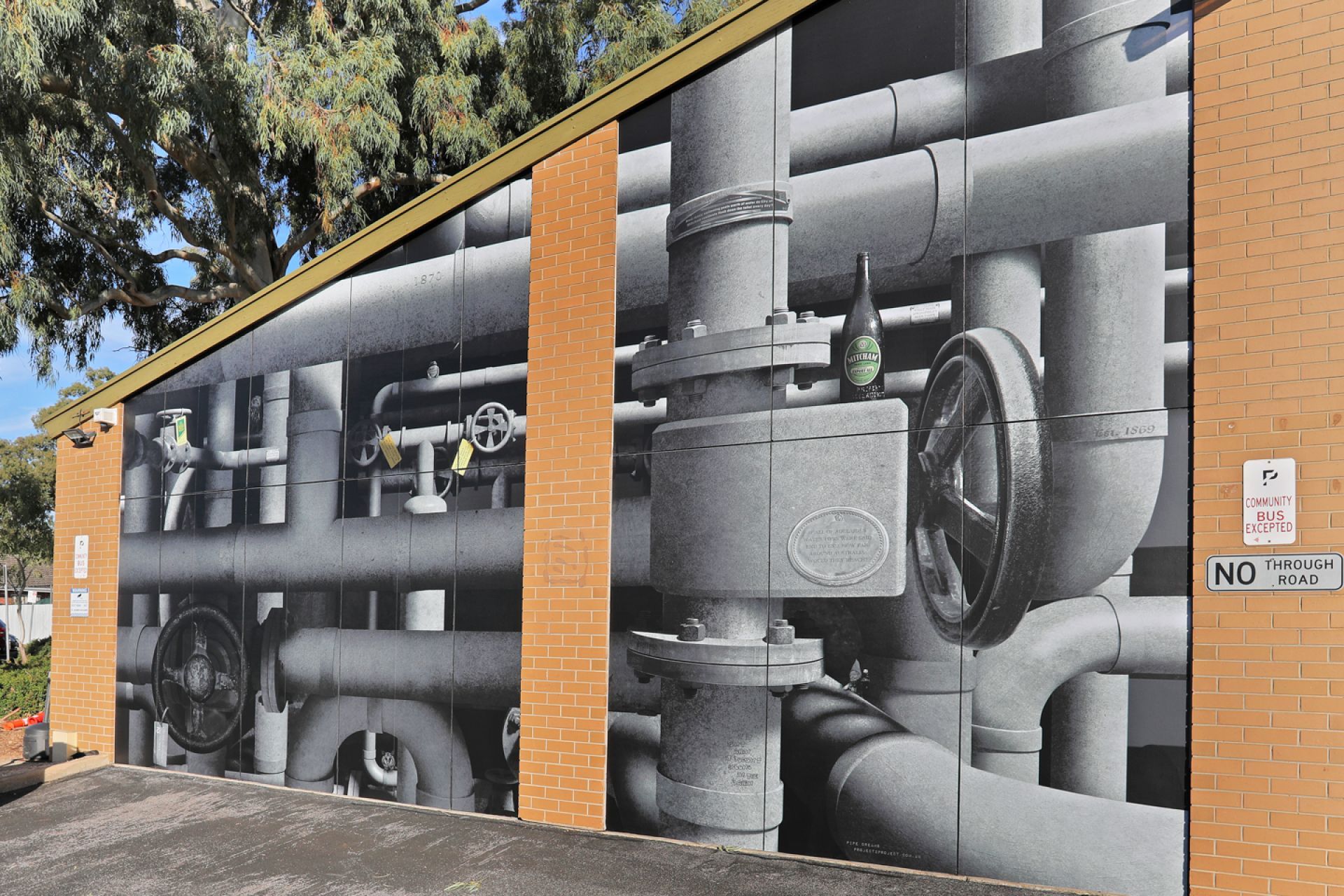 Project2Project Pipe Dreaming Mural at the City of Mitcham Civic Centre