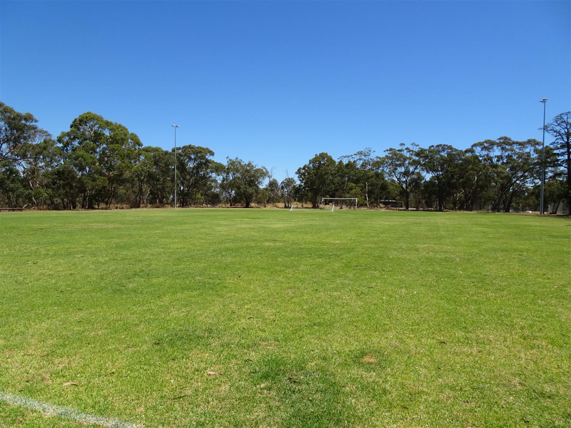 Karinya Reserve - Oval