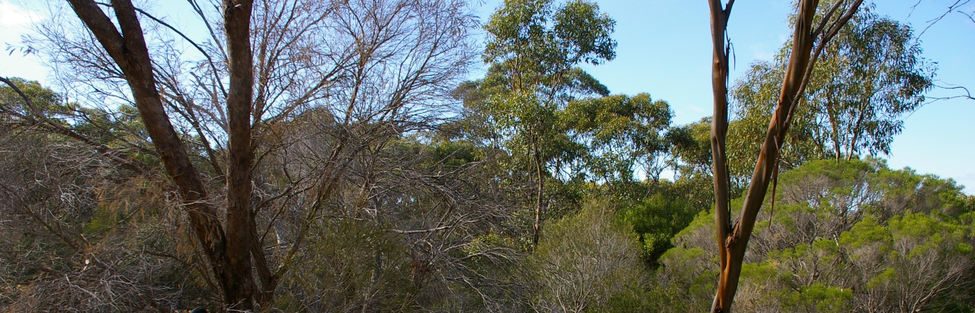 Watiparinga Reserve