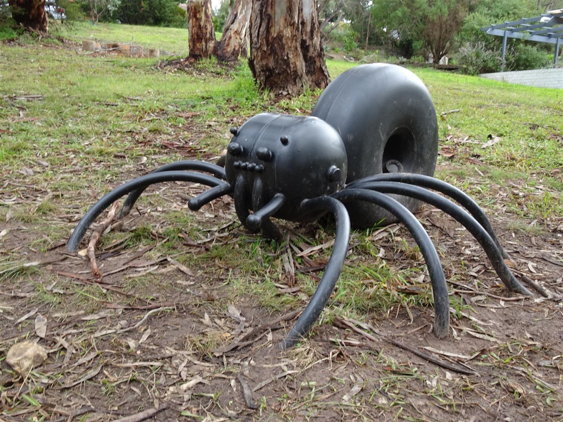 Ossie Goldsworthy - Spider