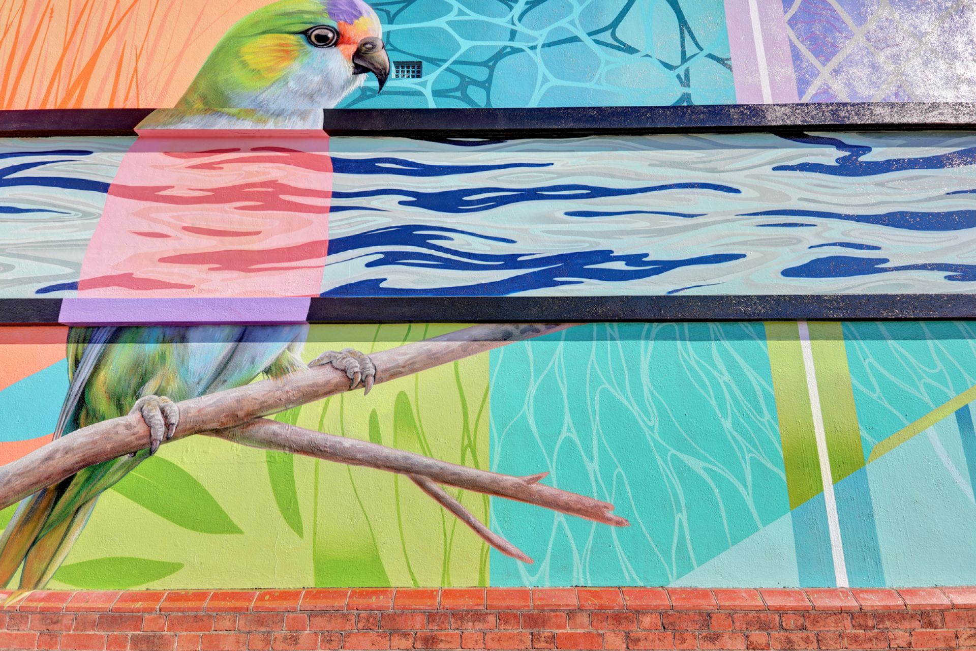 The Torrens Park Pump Station mural featuring a lorikeet bird on the eastern side of the Torrens Park Pump Station