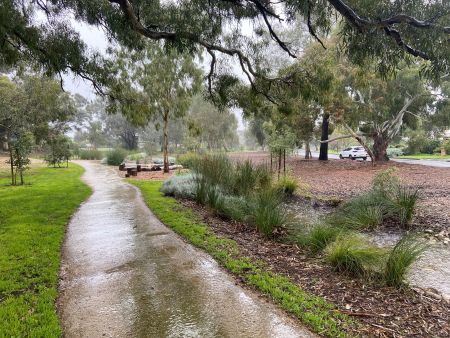 Pasadena Biodiversity Corridor Sierra Nevada Reserve July 2023