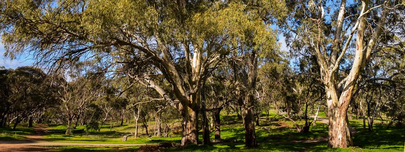 Shepherds Hill Recreation Park