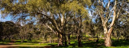Shepherds Hill Recreation Park