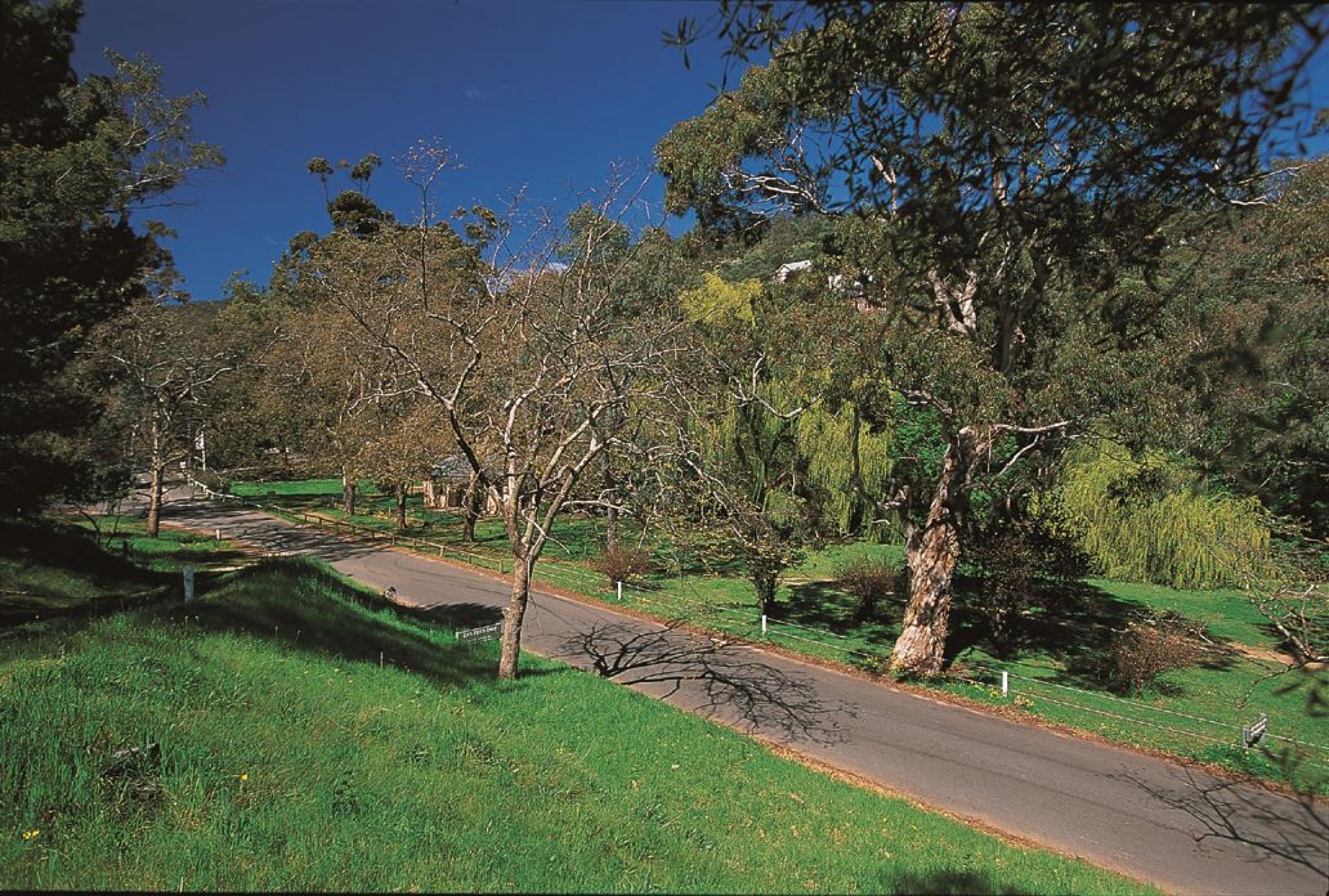 Brownhill Creek Recreation Park