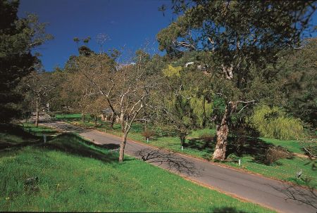 Brownhill Creek Recreation Park