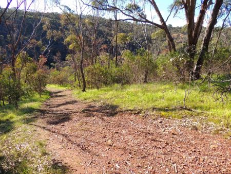 Sturt Gorge Recreation Park Trails