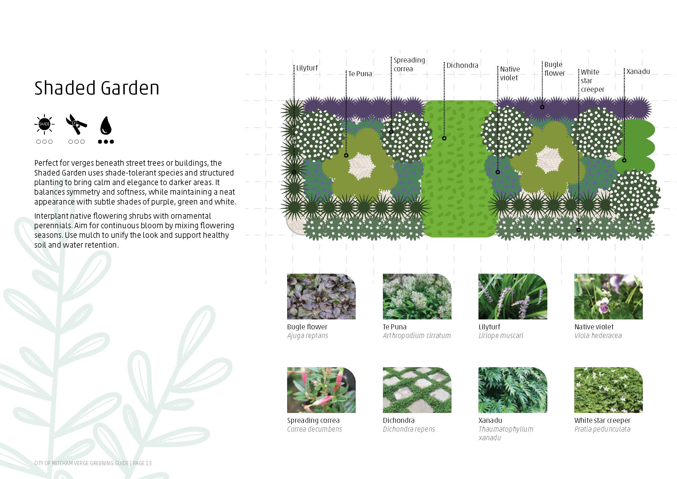 Shaded Garden