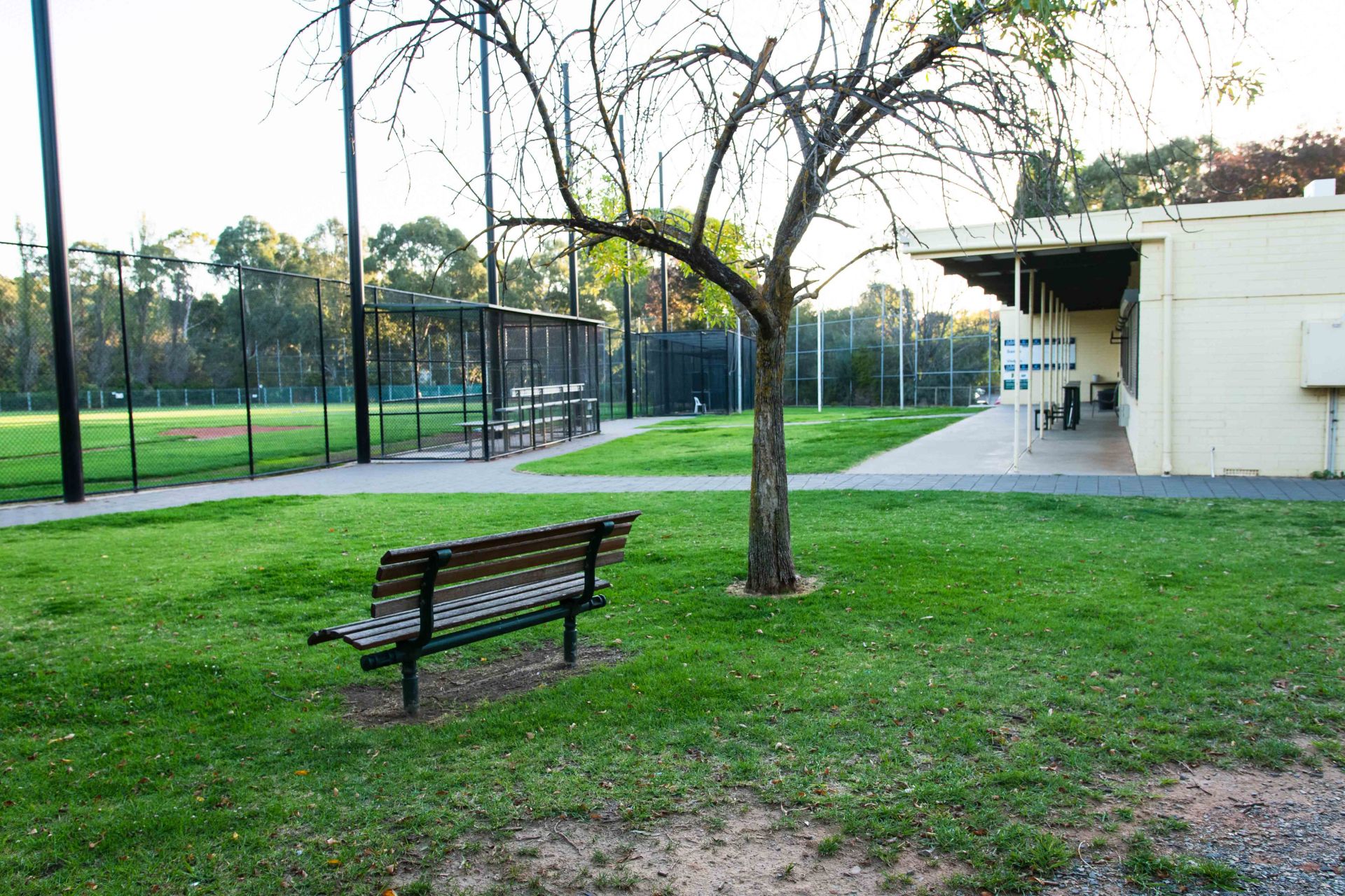 WA Norman Baseball Reserve 5