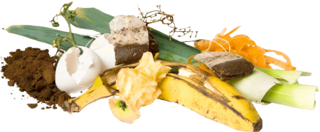 Food waste ready for composting