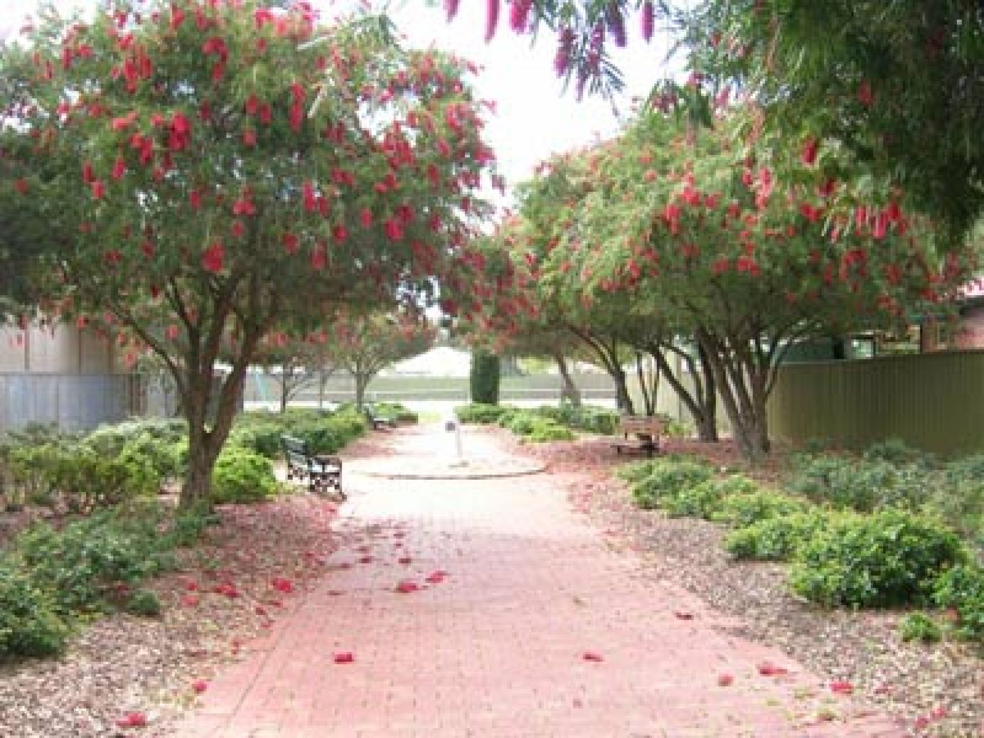 Batchelor Reserve Garden