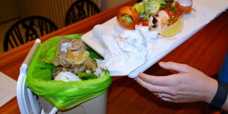 Kitchen Caddy and Food Scraps