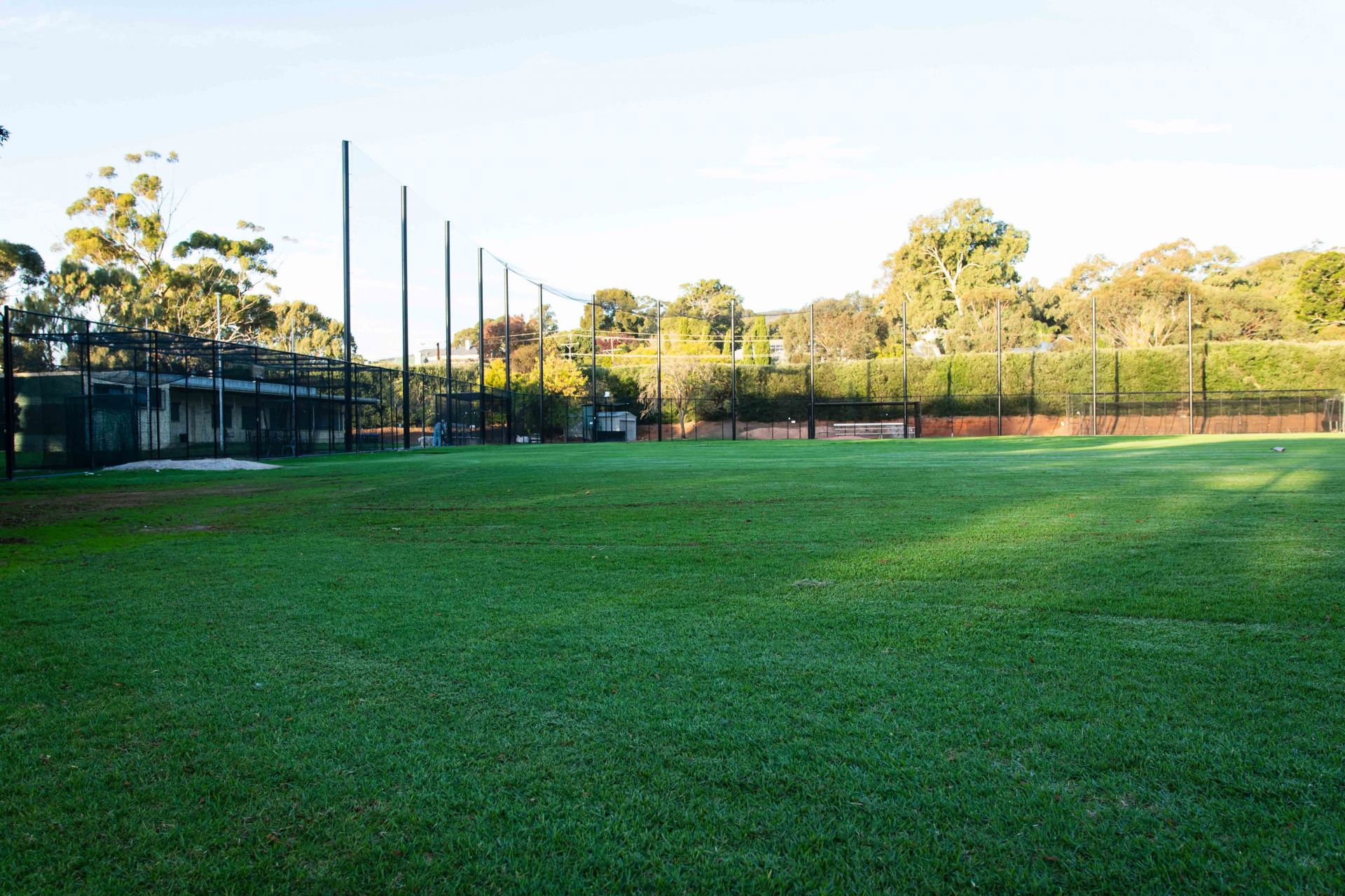 WA Norman Baseball Reserve 3