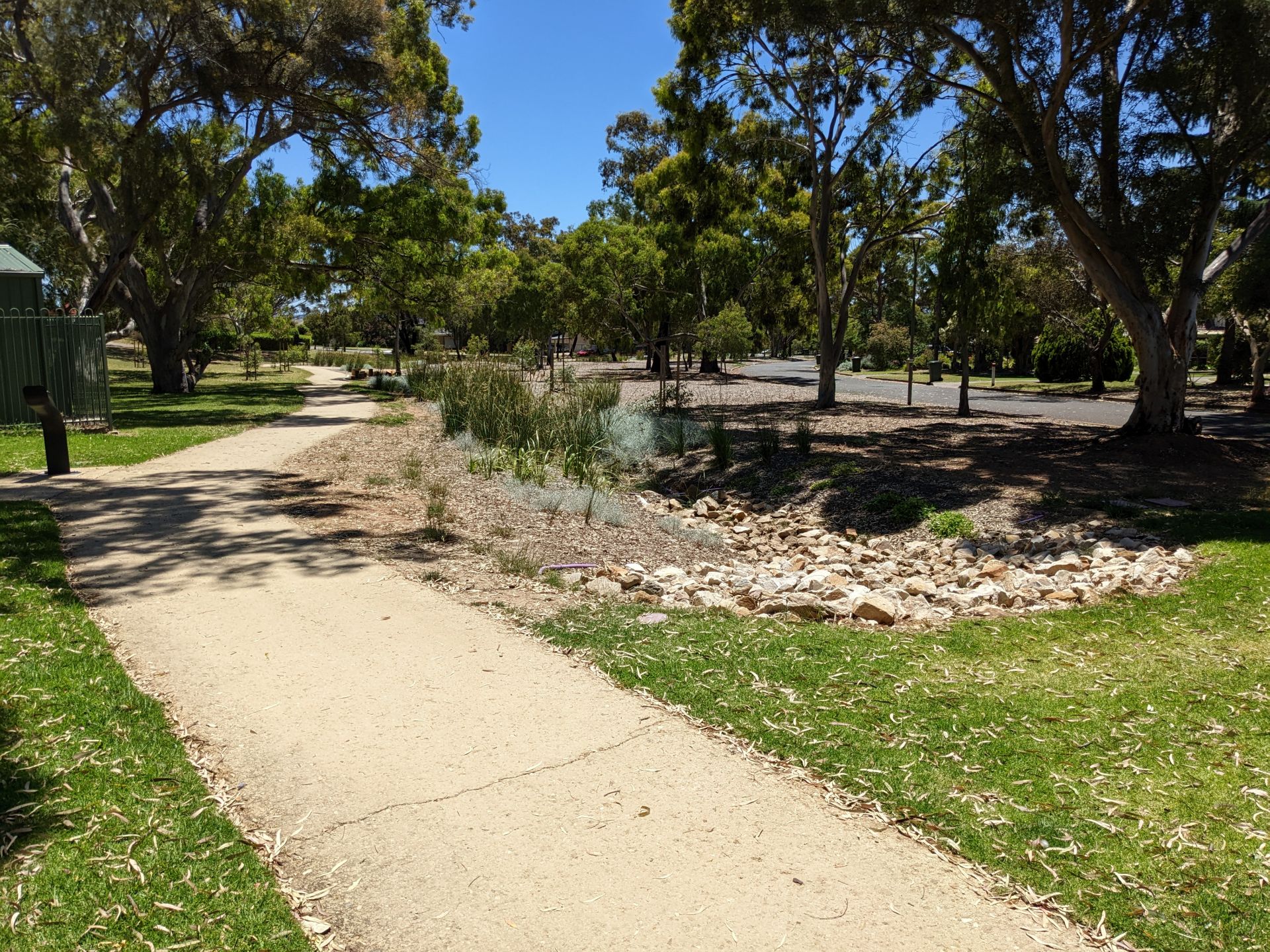 The walking path and plants in the swale at the Pasadena Biodiversity Corridor