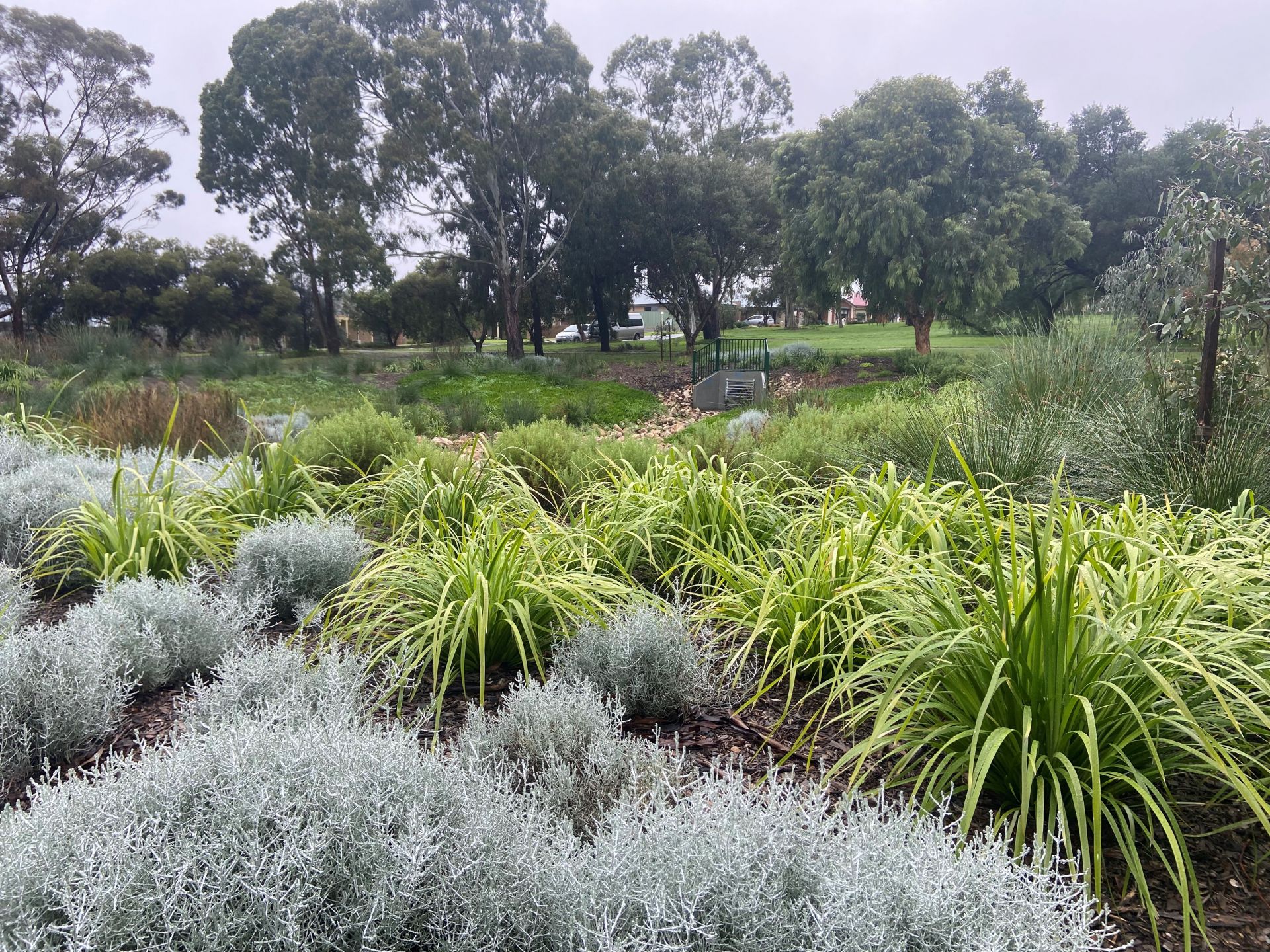 Pasadena Biodiversity Corridor Grant Jacobs Reserve July 2023