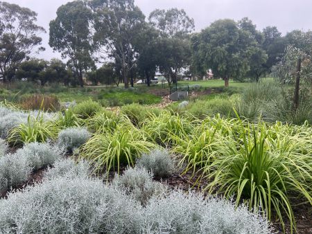 Pasadena Biodiversity Corridor Grant Jacobs Reserve July 2023