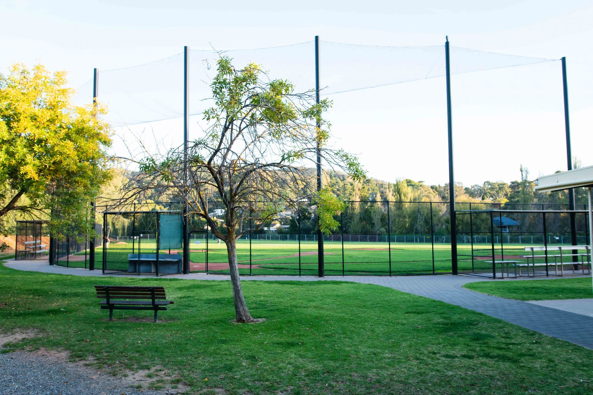 WA Norman Baseball Reserve 4