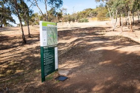 Randell Reserve 6