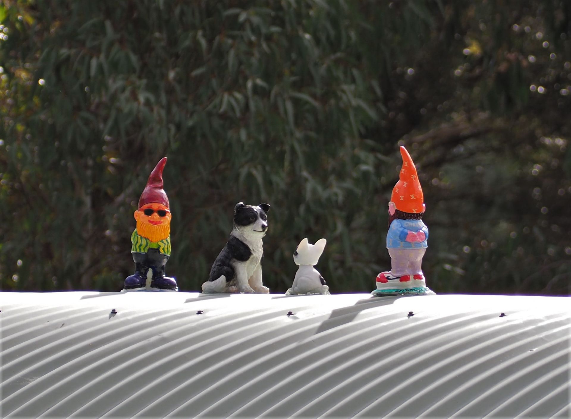 Gnomes standing on the roof of the shelter at CC Hood Reserve