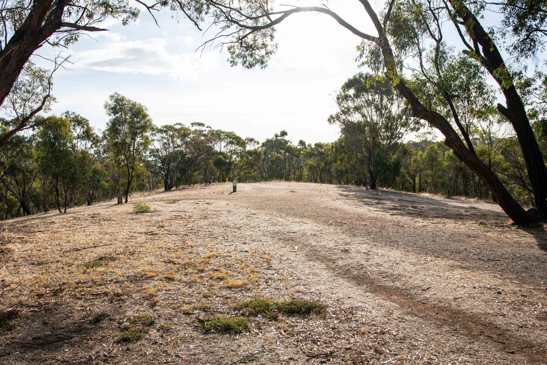 Ashby Reserve 1