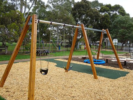 Goodale Reserve Swings