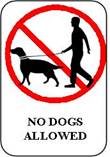 No Dogs Allowed
