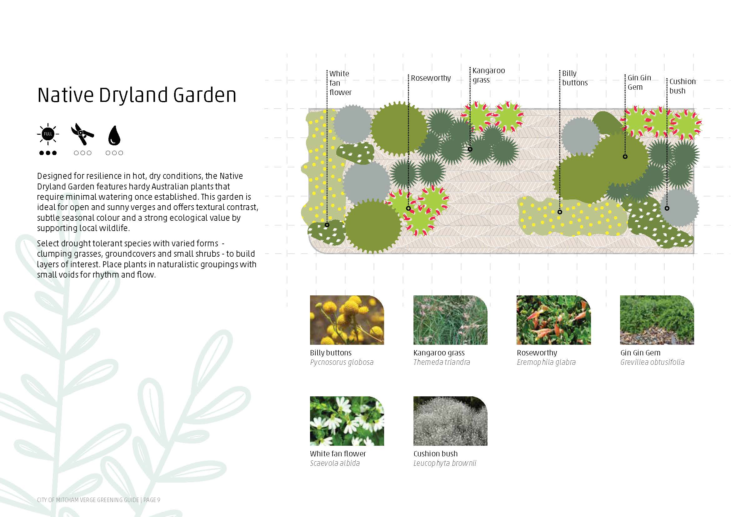 Native Dryland Garden