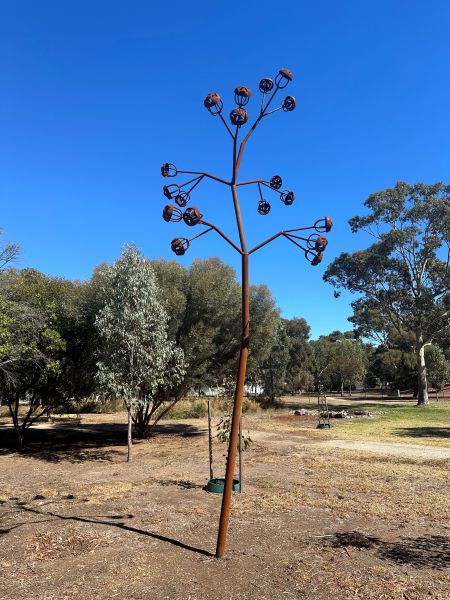 Germinal Operculum Norman Street Reserve