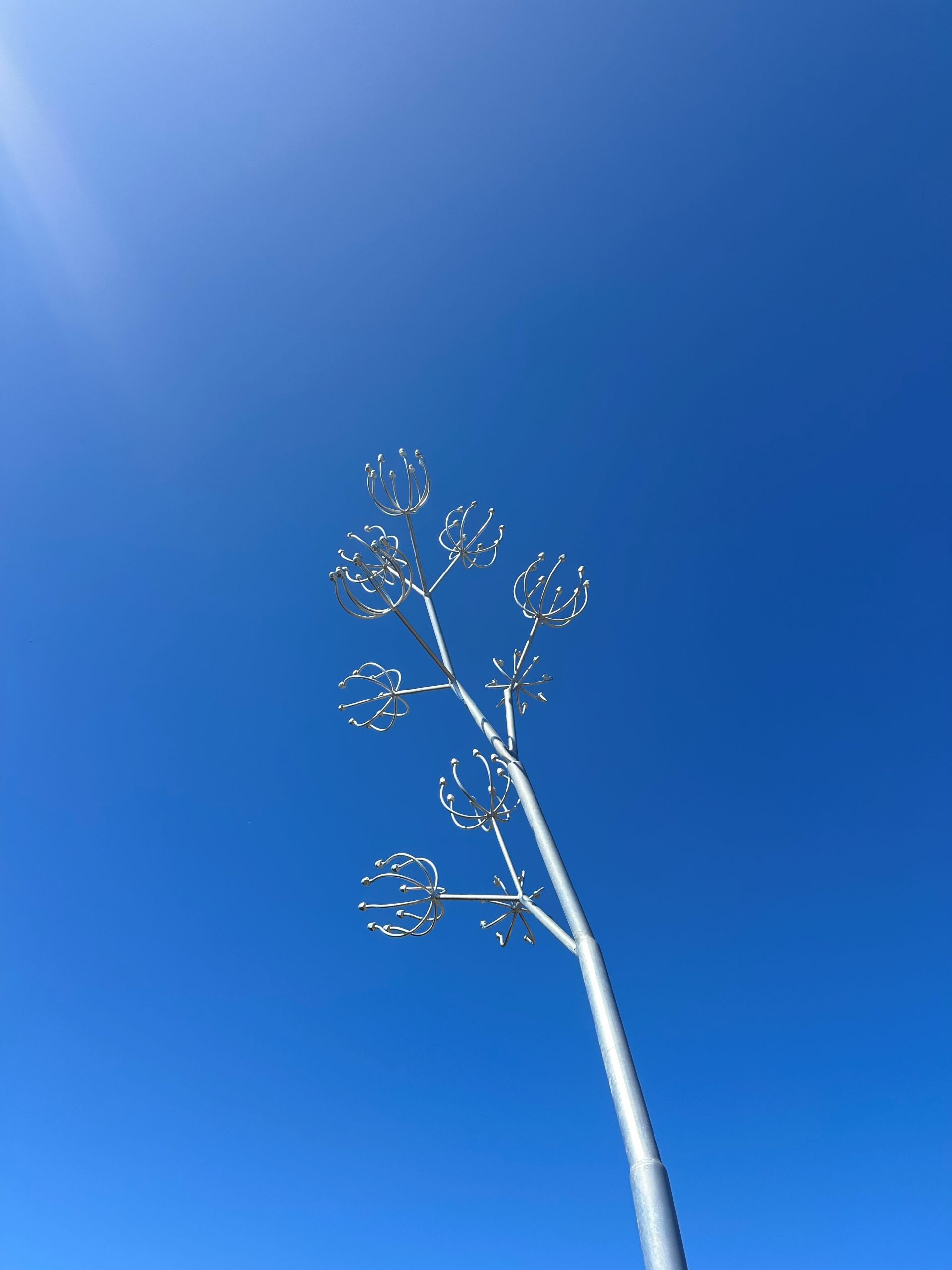 Germinal Stamen Dorren Street Donald Street Reserve