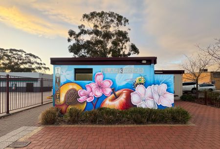 A Fruitful Experiment Mural at Blackwood side view