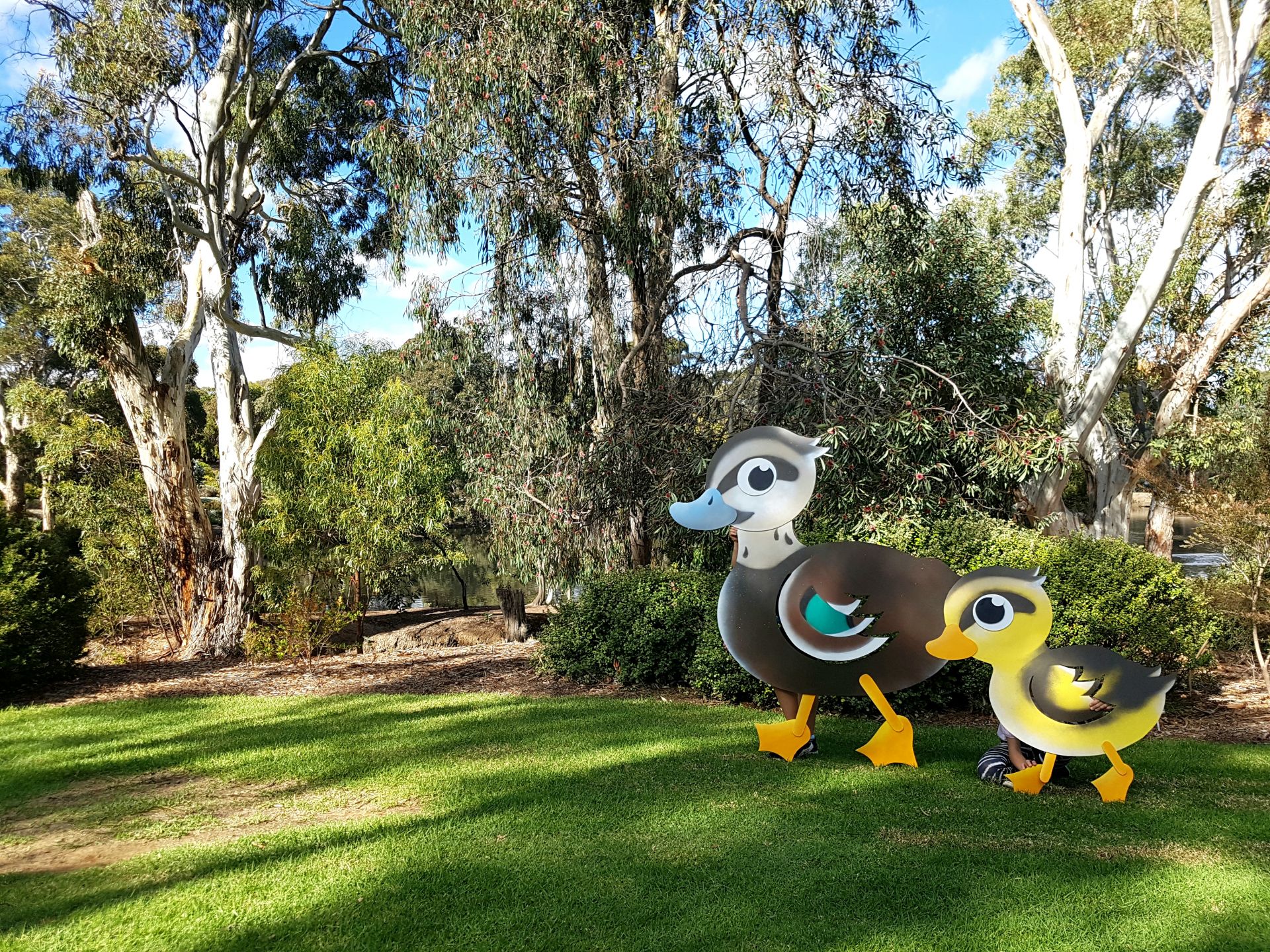 Duck Crossing