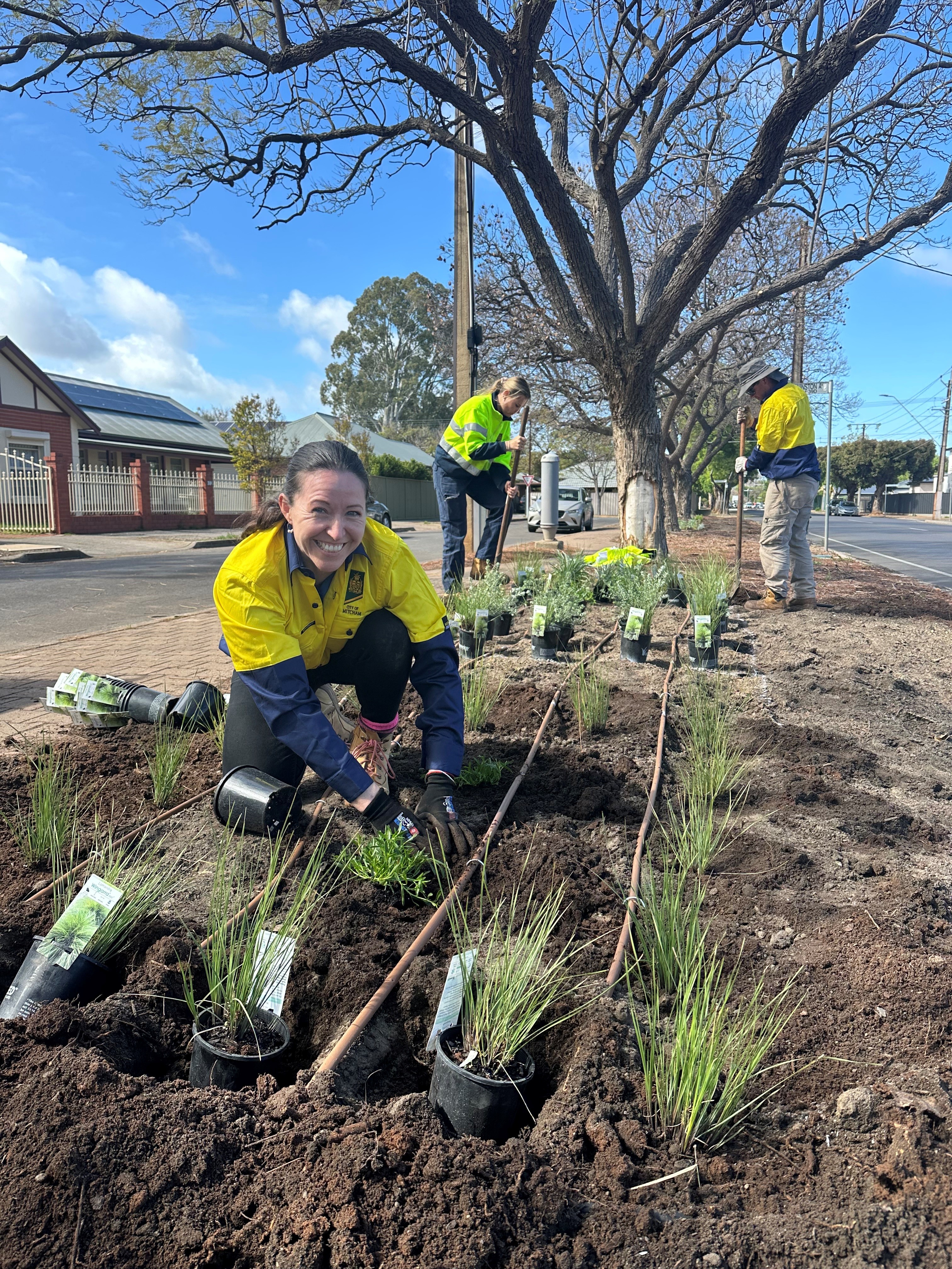 Verge Greening Guide launched