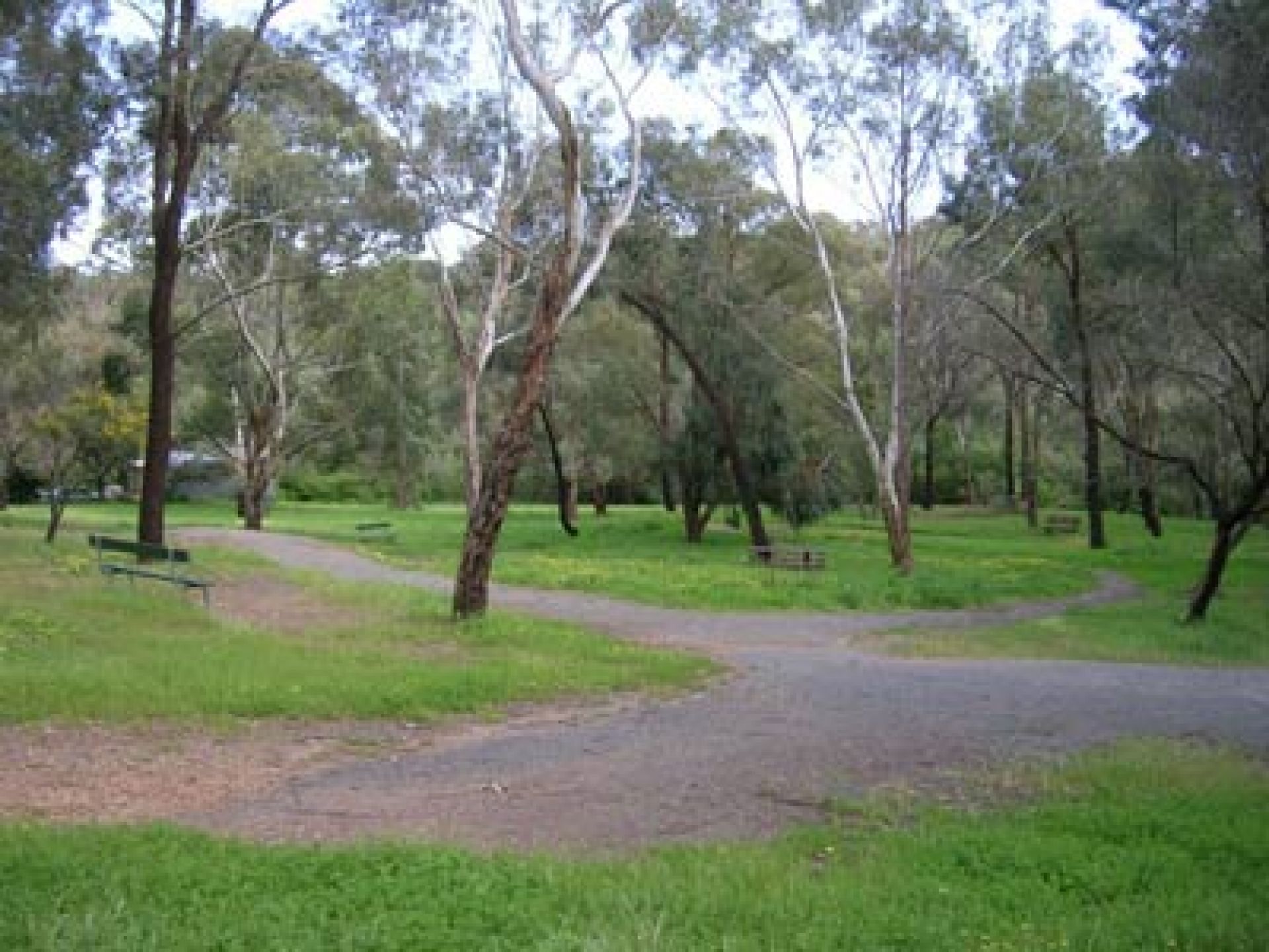 Suffolk Road Reserve Path