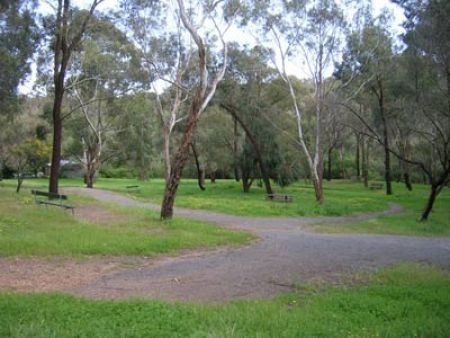 Suffolk Road Reserve Path